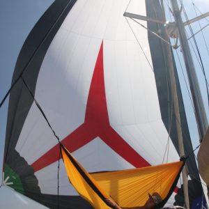 IMG_3037-e1476896061417