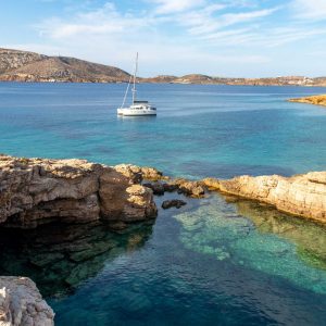 Macronisia-IMG_3544-scaled